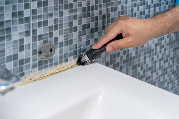 Best DIY Mold Remediation Support Services in Iowa, LA
